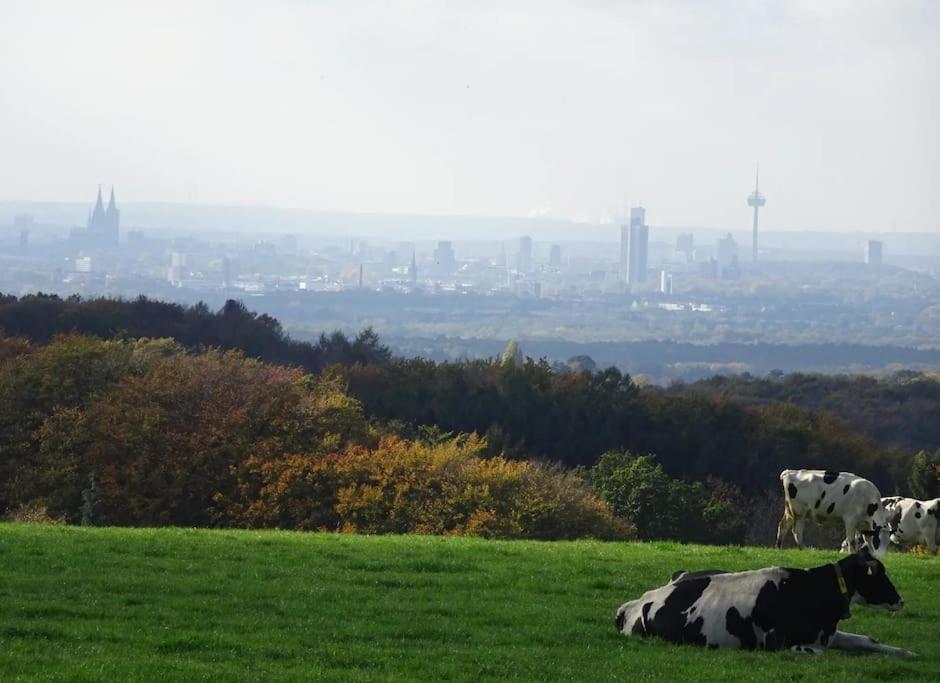 Neue 90 Qm 2-Zimmerwohnung Naehe Koeln Odenthal Exteriör bild